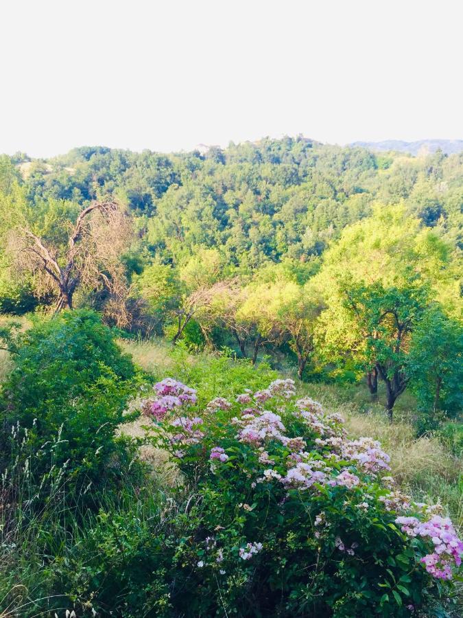 B&B Al Giardino Dei Mandorli Prasco Kültér fotó