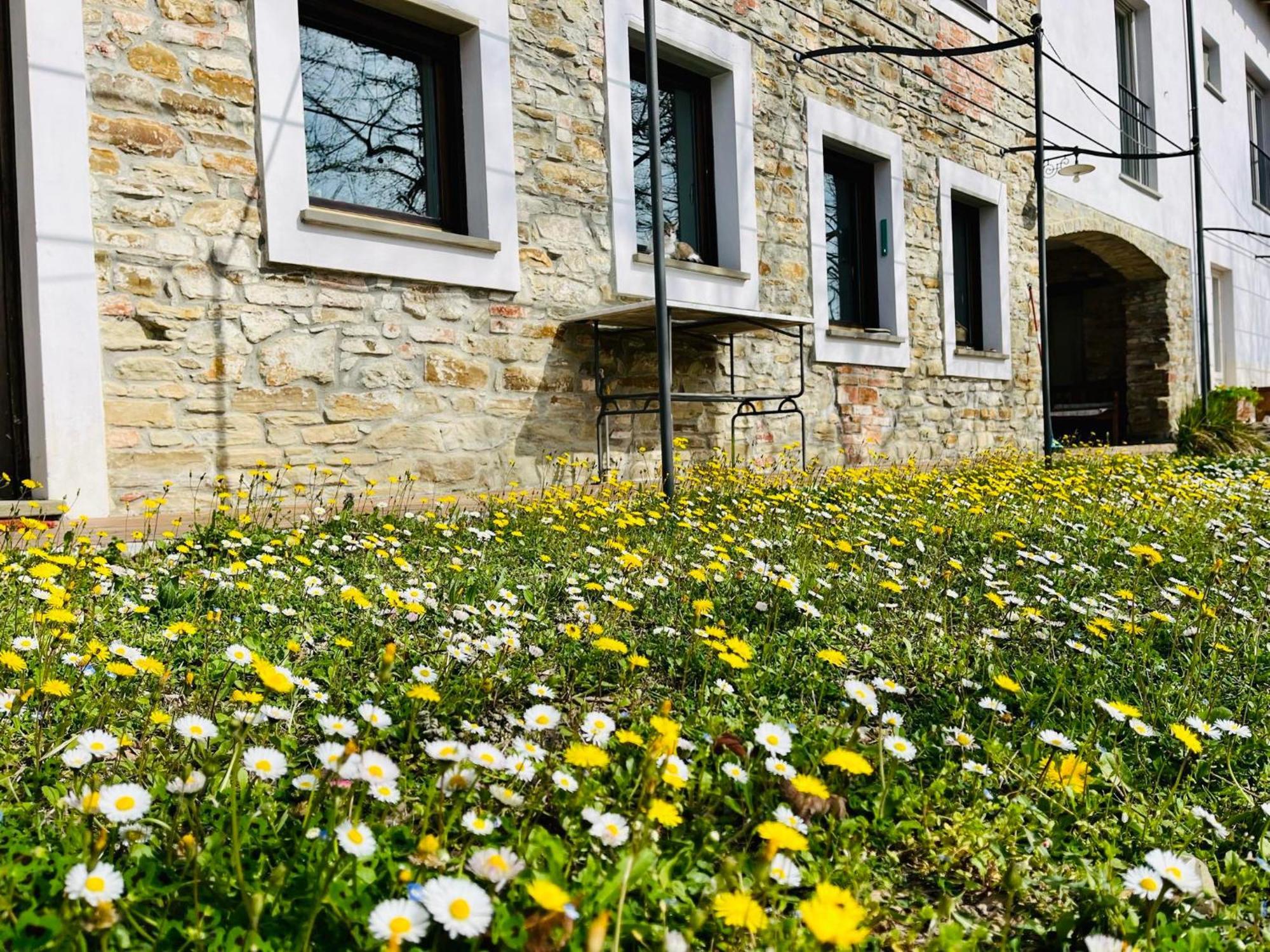B&B Al Giardino Dei Mandorli Prasco Kültér fotó
