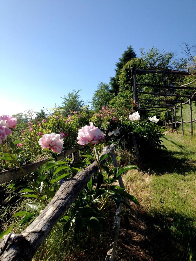 B&B Al Giardino Dei Mandorli Prasco Kültér fotó